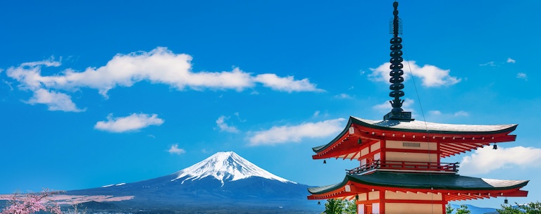Travel Survival Japanese preview